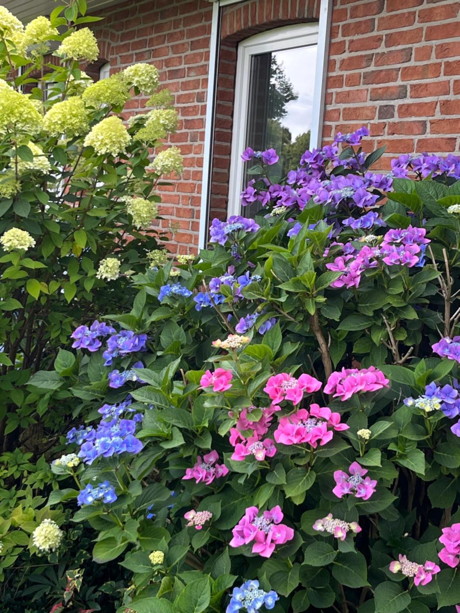 Gartenzimmer Zwischen Den Meeren Ladelund Exterior photo